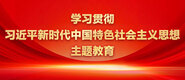 大鸡巴操b学习贯彻习近平新时代中国特色社会主义思想主题教育_fororder_ad-371X160(2)